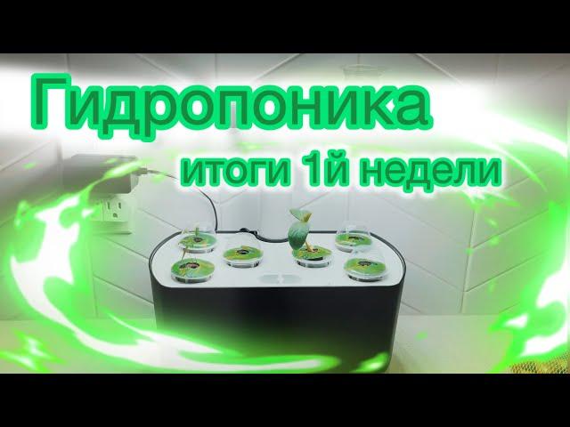 Гидропоника Aerogarden 1 week