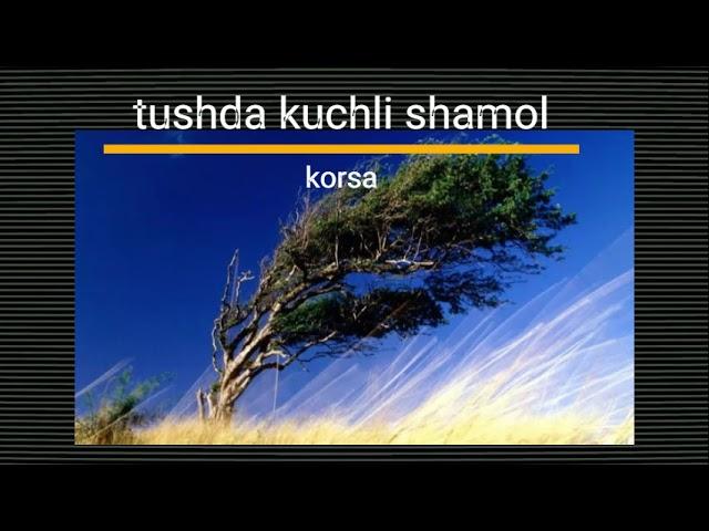 tushda kuchli shamol korsa / тушда шамол курса