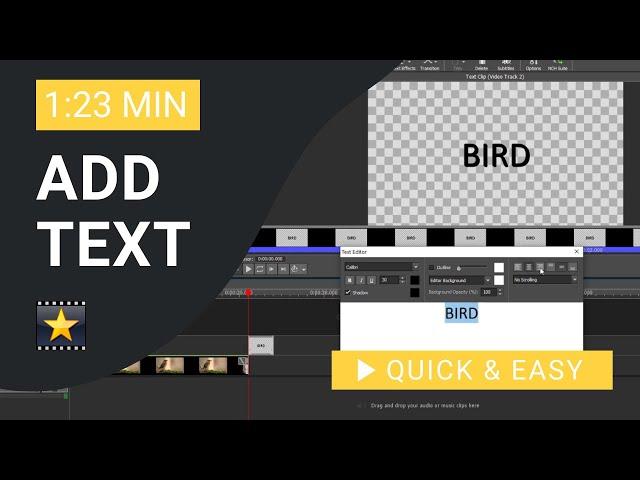 VideoPad Tutorial: How to Add Text in VideoPad