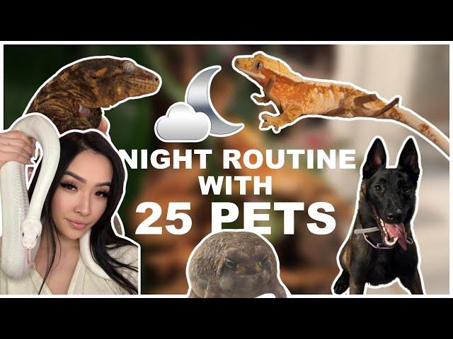 NIGHTTIME ROUTINE WITH 25 PETS