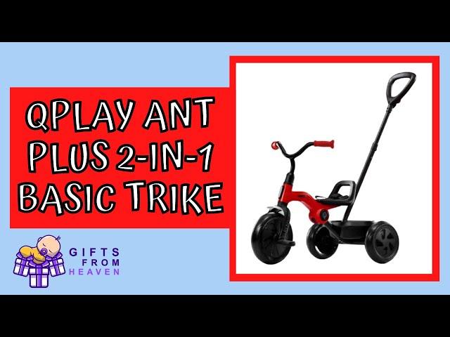 QPLAY Ant Plus 2-in-1 Basic Trike