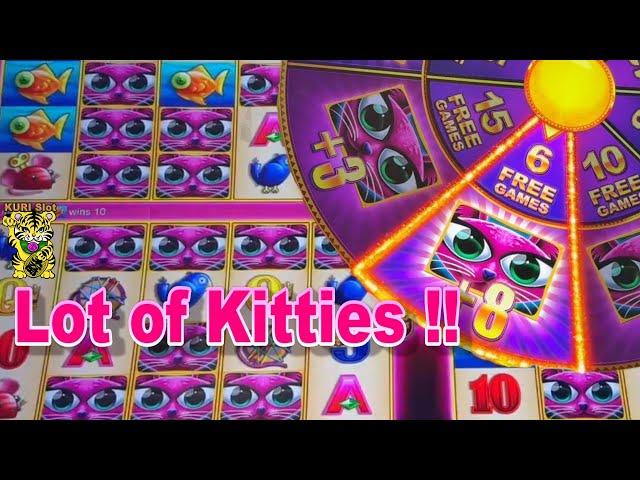 WOW ! LOT OF KITTIES !!50 FRIDAY 356GEISHA / ARISTOCRAT LEGENDS DELUXE Miss Kitty SLOT