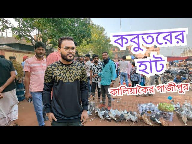 কবুতরের হাট | কালিয়াকৈর বাজার গাজীপুর | Pigeon market | Kaliakair Bazar Gazipur | MOYIN MRIDHA