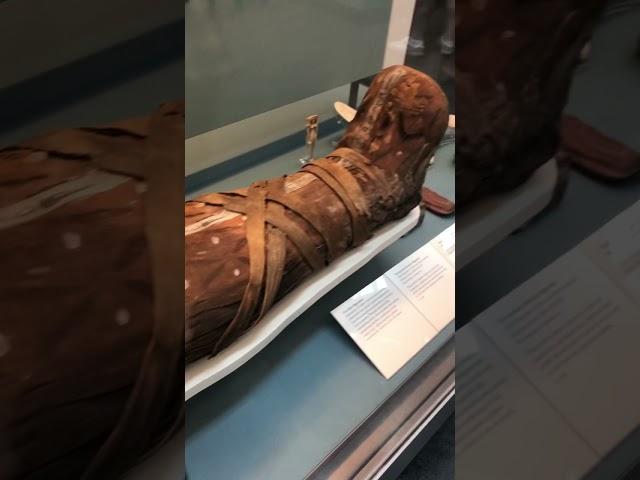 Cleopatra mummy? 