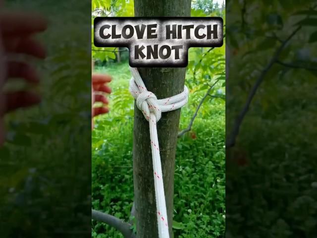 The Quick and Easy Knot for Securing Ropes #knot #technique #rope