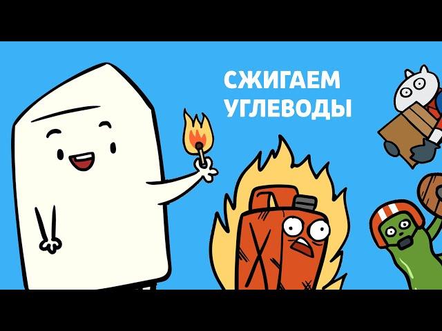 БЕЛКИ, ЛИПИДЫ и УГЛЕВОДЫ за 5 минут! | Анимация - биология