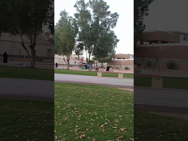 saudia Arbia park