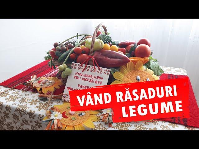 Vand rasaduri rosii ardei castraveti vinete alte rasaduri legume 2024