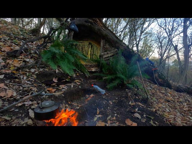 Building a Warm and cozy Survival hut, at the roots of a fallen oak tree. Bushcraft...Slope 70%