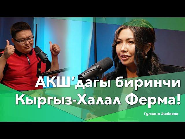 АКШ’дагы биринчи Кыргыз-халал ферма! | Гулзина Эшбаева | Kyrgyz AgraHalal Farm | BigTalk Podcast