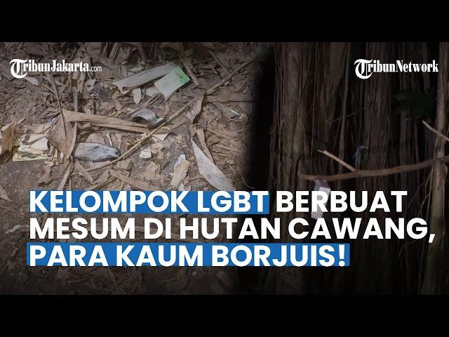 VIRAL! Ada Kelompok LGBT Mesum di Hutan Kota Cawang dari Orang High Class, Bawa Mobil Mewah