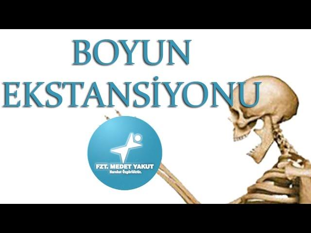 Boyun Ekstansiyon (Neck/Head Extension)