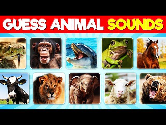 Can You Guess the Animal by the Sound? | Animal Sounds Quiz