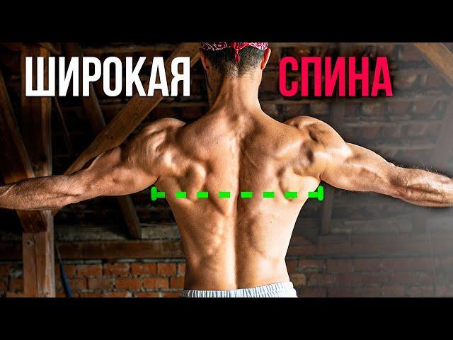 Широкая Спина 3 Лучших Упражнения