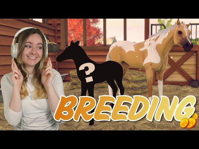 BREEDING MILLION GOLD HORSES - Rival Stars Horse Racing | Pinehaven