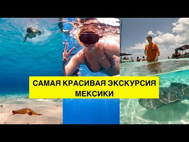 Самая красивая экскурсия Мексика 2023. Остров Косумель. Рифы - El Cielo, El Columbia Cozumel.