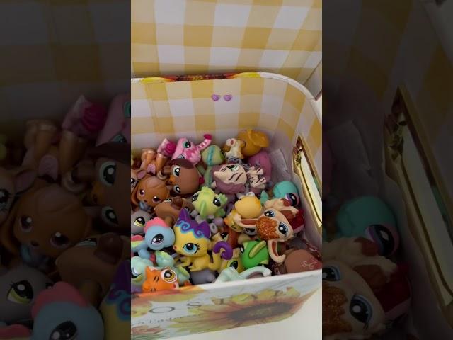 How I organize my Lps!!  #Lps #littlestpetshop #lpscollection