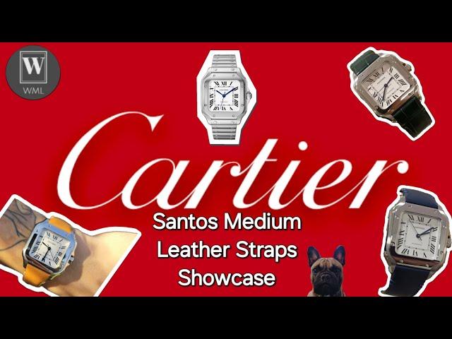 Cartier Santos Medium - Leather Strap Showcase 