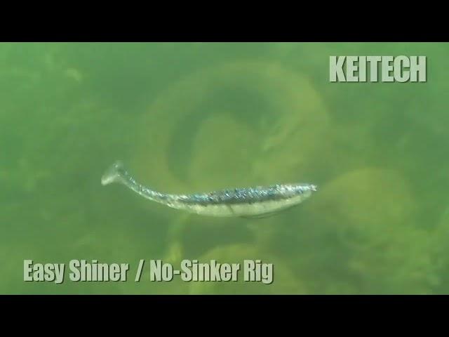 KEITECH Easy Shiner No sinker