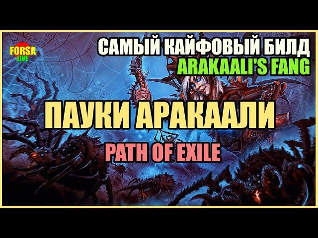 【Гайд】3.19 | Arakaali's Fang Spiders | Пауки Аракаали