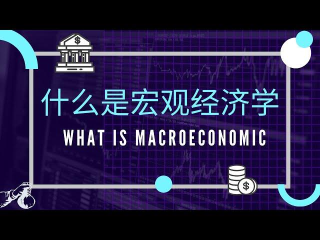 【经济学课程】 第十一课 || 什么是Macroeconomics 宏观经济学?