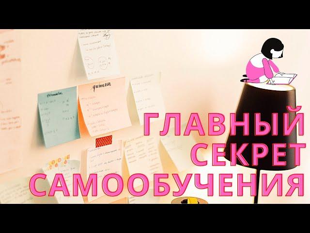 С чего начать самообучение. Система Дэвида Колба