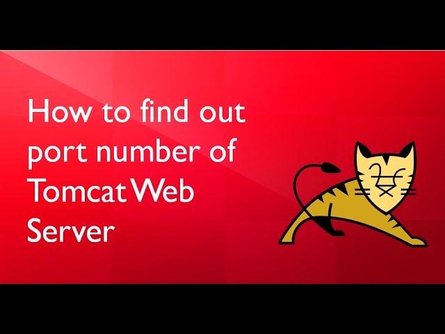 How to find out Port number of Tomcat Web Server