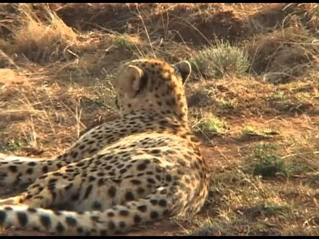 Afrique du Sud