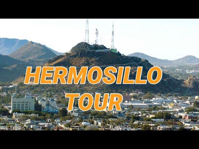 SONORAN DESERT LIFE Hermosillo tour Adventure | NÖYRA