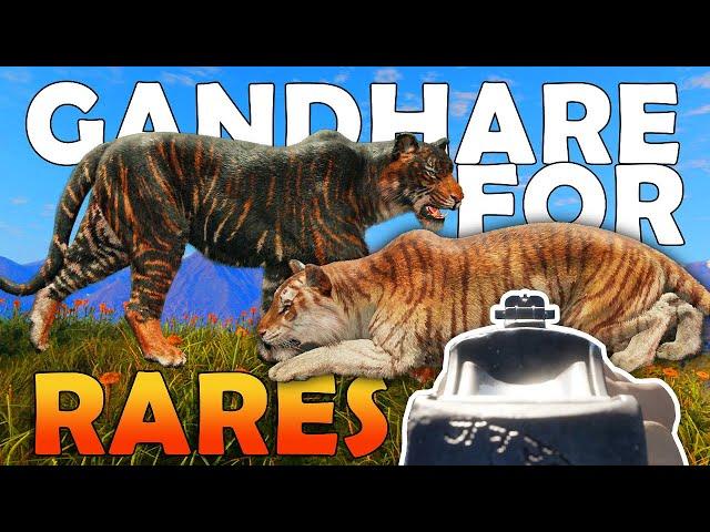 Updated GANDHARE is PERFECT for RARE TIGERS!!! - Call of the Wild