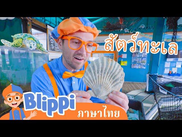 Blippi ไทย | รู้จักสัตว์ใต้น้ำไปกับบลิพปี้ | วิดีโอการเรียนรู้สำหรับเด็ก