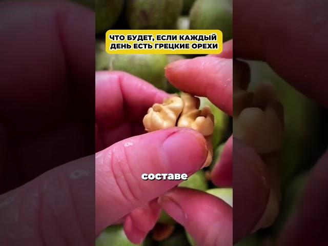 Что будет если каждый день есть грецкие орехи