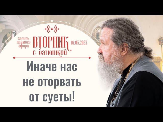 Как выстоять? Ответы на вопросы. Вторник с батюшкой. Беседа с прот. Андреем Лемешонком 16 мая 2023