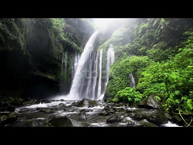 Water Fall | Relaxing in Nature | Nature sound with Calm Music for Sleeping | Relax don't do it