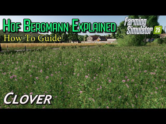 Hof Bergmann Explained | Clover | Farming Simulator 25