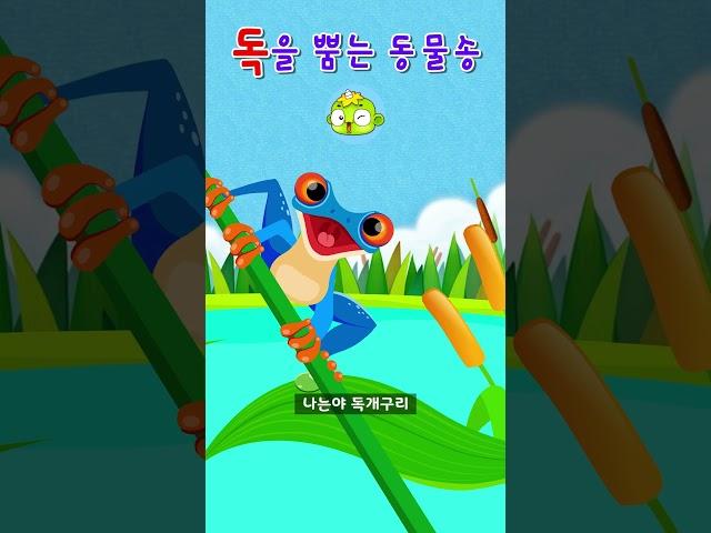 독을 뿜는 동물들 2 | 깨비키즈 동요