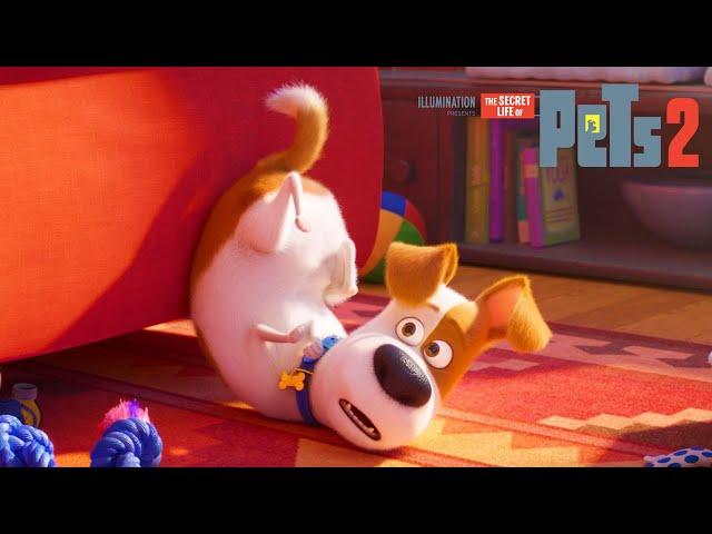 The Scratch | The Secret Life of Pets 2 | Mega Moments