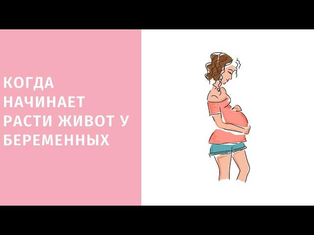 Когда начинает расти живот при беременности по неделям и месяцам