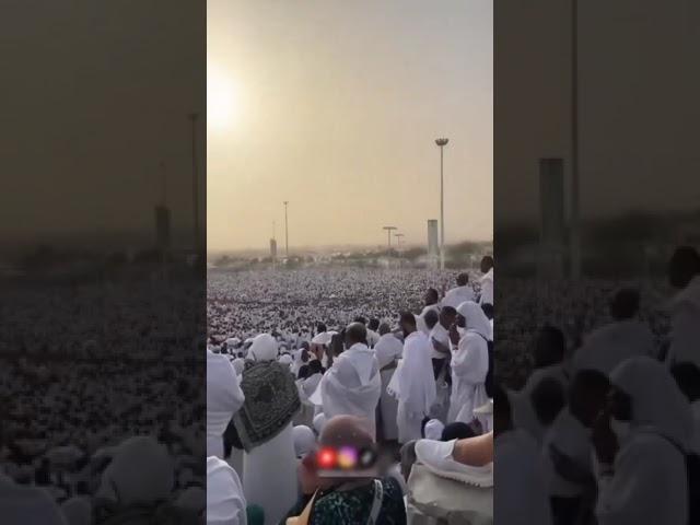 #arafat #arafah #hajj #hajj2024 #hajtv #arafaat #hajjseason #hajjshorts