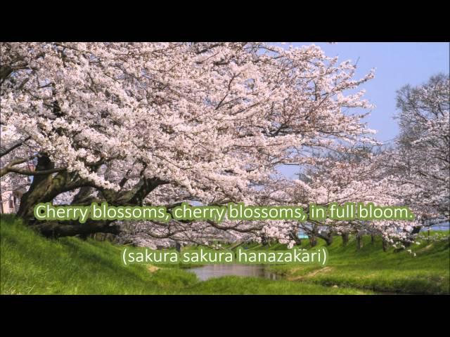 Japanese Folk Song #9: Cherry Blossoms （さくらさくら/Sakura Sakura）