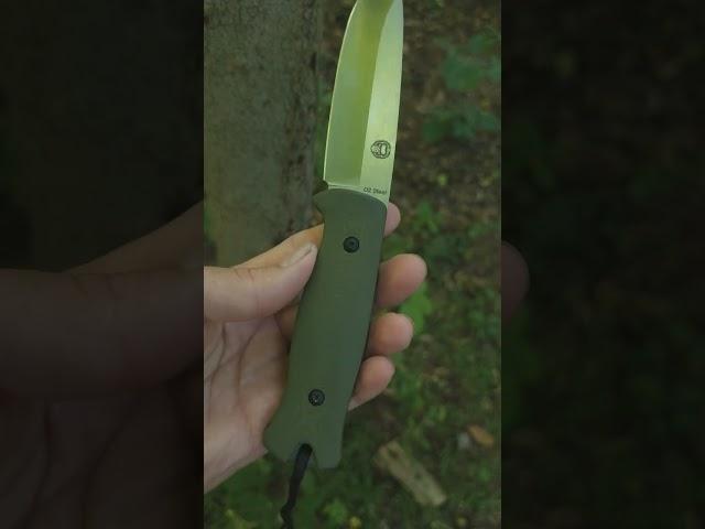 The Hornet Survival Knife - https://holtzmansurvival.com/?ref=woodsbound - discount code WBO