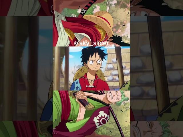 Luffytaro! Zoro x Luffy | Random one piece moment - #luffy #zoro  #duo  #shorts #cute #happy