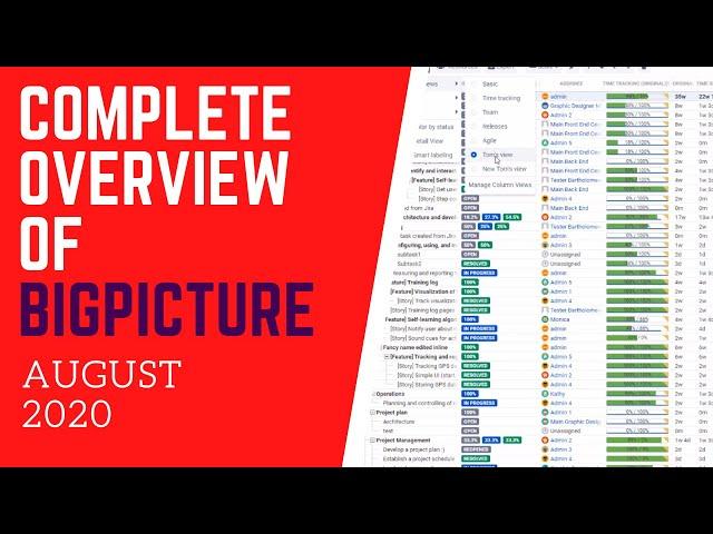 COMPLETE OVERVIEW OF BIGPICTURE August 2020