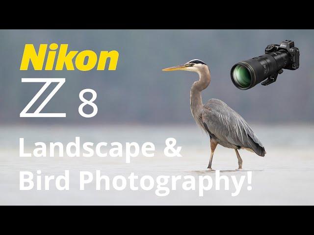 Nikon Z8 Landscape & Bird Photography 600 PF & 24-120 Lenses!  Long Exposure!