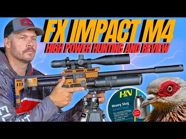 FX IMPACT M4 HUNT AND REVIEW I HIGH POWER AIRGUN HUNTING WITH FX IMPACT M4 I AIRGUN PEST CONTROL