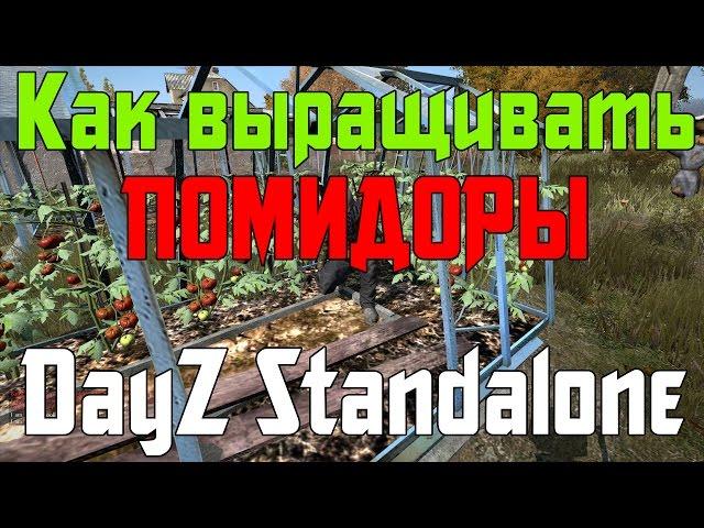 [Гайд] Как выращивать урожай в DayZ Standalone.