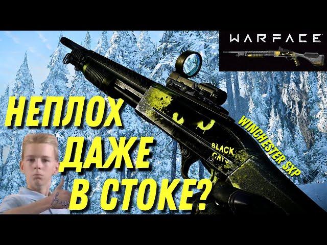 Winchester SXP «Черные коты» В СТОКЕ - РАНДОМНАЯ ИМБА! / Warface