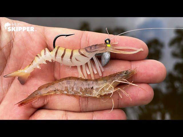 How Smart Are Fish? FAKE BAIT VS REAL BAIT! VUDU SHRIMP