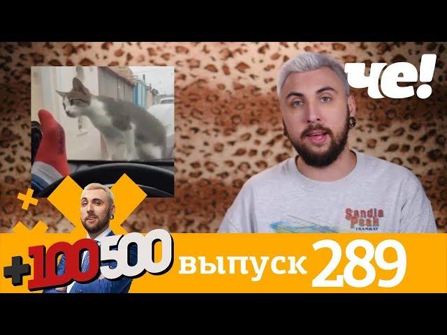 +100500 | Выпуск 289 | Новый сезон на телеканале Че!