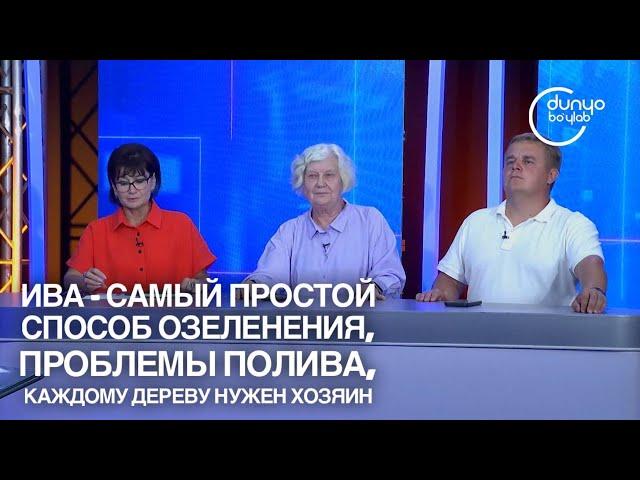 Зеленые насаждения, ива-легкое решение вопроса озеленения, проблема полива, BIOGUM.uz Пётр Плеханов